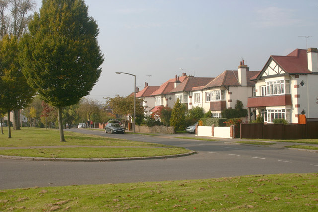 Gardener: Image 5